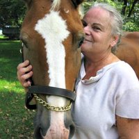 Paula Slater ๐ (@horsemouthradio) 's Twitter Profile Photo Paula Slater ๐ (@horsemouthradio) 's Twitter Profile Photo