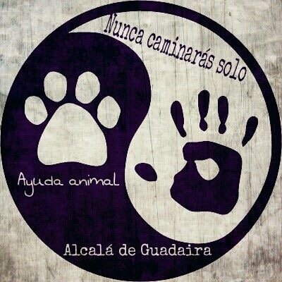 Ayuda Animal en Alcalá de Guadaíra. Grupo de difusión animalista. Rescatamos y preparamos en adopción.
