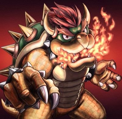 I'm the best king there is. I kidnap Princess while Mario always ruins my plans.