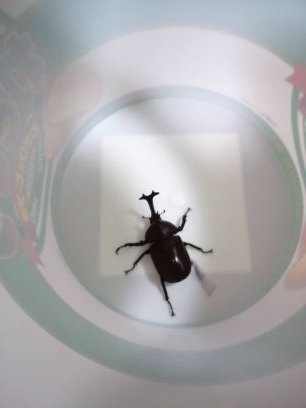 216722's profile picture. 