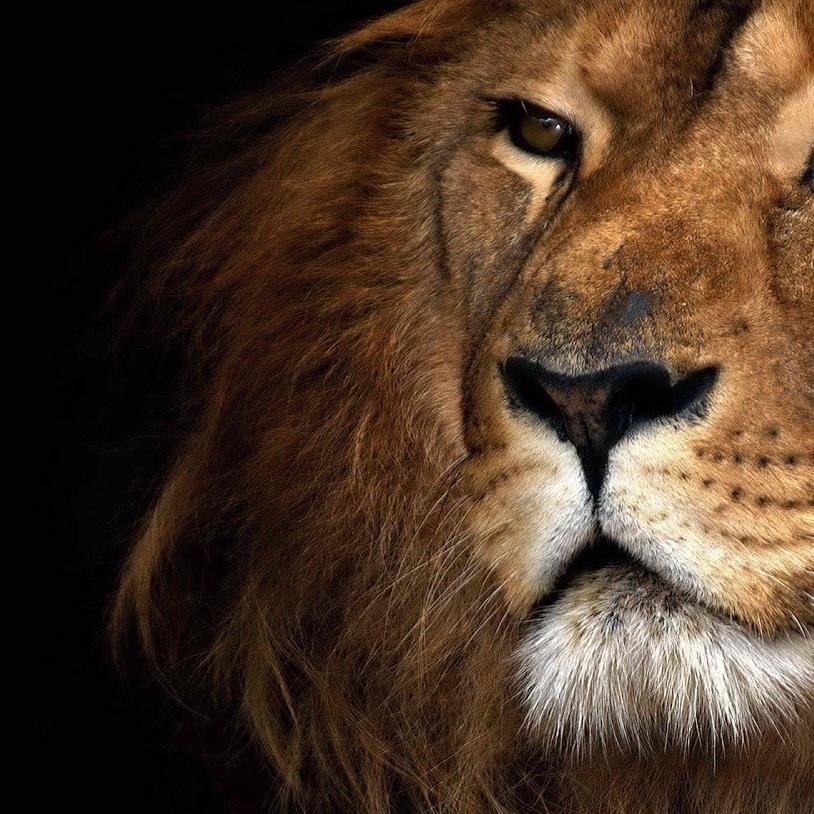 BIGKEEMGOOWAP's profile picture. What’s really life all about