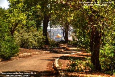 hamada_ps1's profile picture. نحن من رسم هذا الطريق و يجب علينا المضي،،، غزة