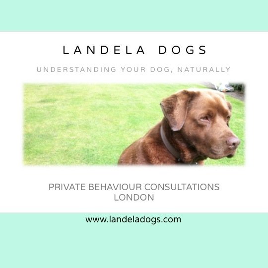 @landeladogs
