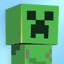I am a gamer who sings,plays Minecraft, and I hope to be a Future Let's Player