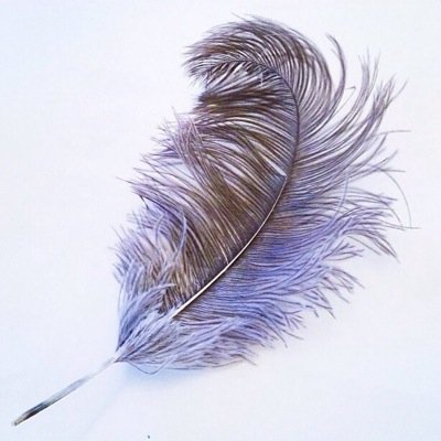 triadadeorion's profile picture. 