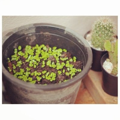 SawanyaBebiw's profile picture. 