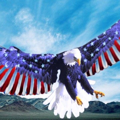 american4ver's profile picture. 
