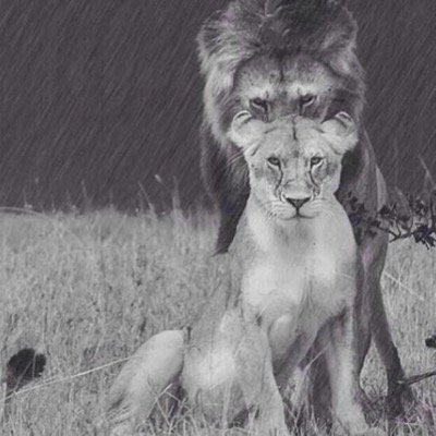iloveyouitstruu's profile picture. just one guy.. who loves that girl..