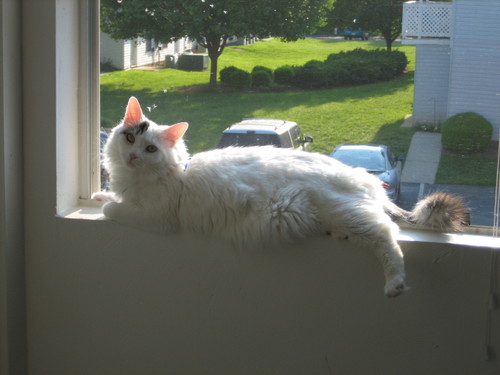 x_liu's profile picture. 