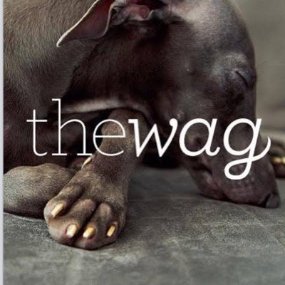 The Wag offers small animal massage to cats and dogs, and other animals under 400 lbs.
