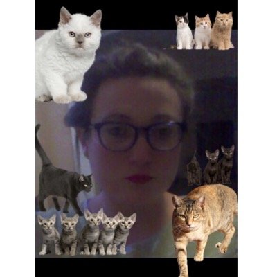 hey y'all I'm j'cynda! ;) on here for followers so please follow. it would tots make my day. i sell comics. i also kick babies. 100%er