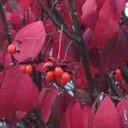 judith e harmon - @judith_harmon - Twitter