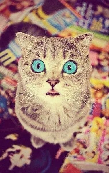 montsze_ozuna's profile picture. 