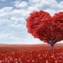 خالد بن الوليد (@0551794880) Twitter