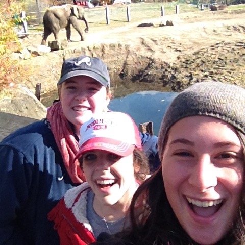 amaff13's profile picture. trying hard to be quick witted but it’s taking a minute