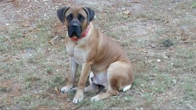 BurntCorn82's profile picture. 