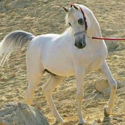 WwwAaaa1234's profile picture. 