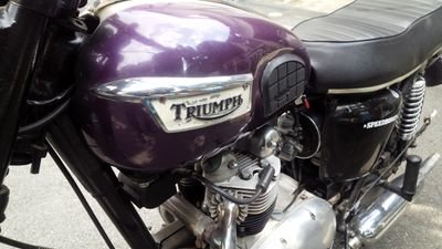 釣り、ダーツ、バイク(W800,1970Triumph,ｴｽﾄﾚﾔ)/一口馬主/海乃あくび/クレナイ・ワールズエンド。