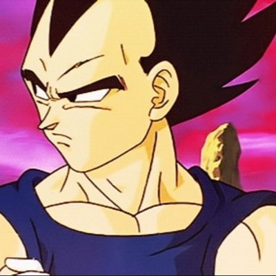 I am Vegeta, one of Earth's protectors. I am the 2nd most powerful warrior on Earth. Mess with me or my family and your dead! #Cannon RPer