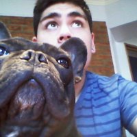 Guiido Guerrieri (@guidonicolasgue) 's Twitter Profile