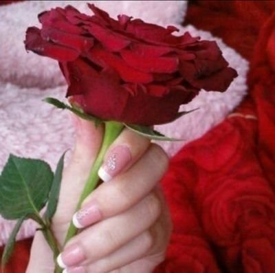 ‏اللهم صل على محمد (سبحان الله وبحمدة سبحان الله العظيم )