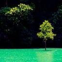 216Aaau's profile picture. 美しい風景をみると旅行や旅に出てみたくなりますね。