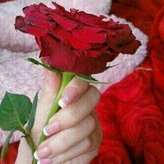 zabdurahmanm73's profile picture. 