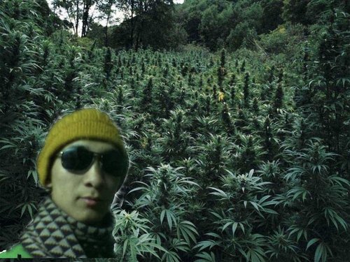 malpa2007's profile picture. 