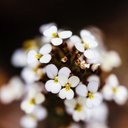 Benjamin Earl - @EliteSpaces - Twitter