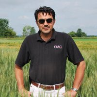 Alireza Navabi (@navabiwheat) 's Twitter Profile Photo