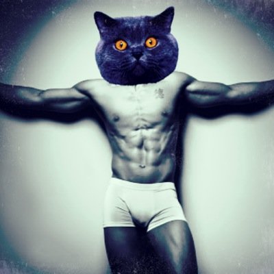 animalmodel's profile picture. Animals Next Top Model