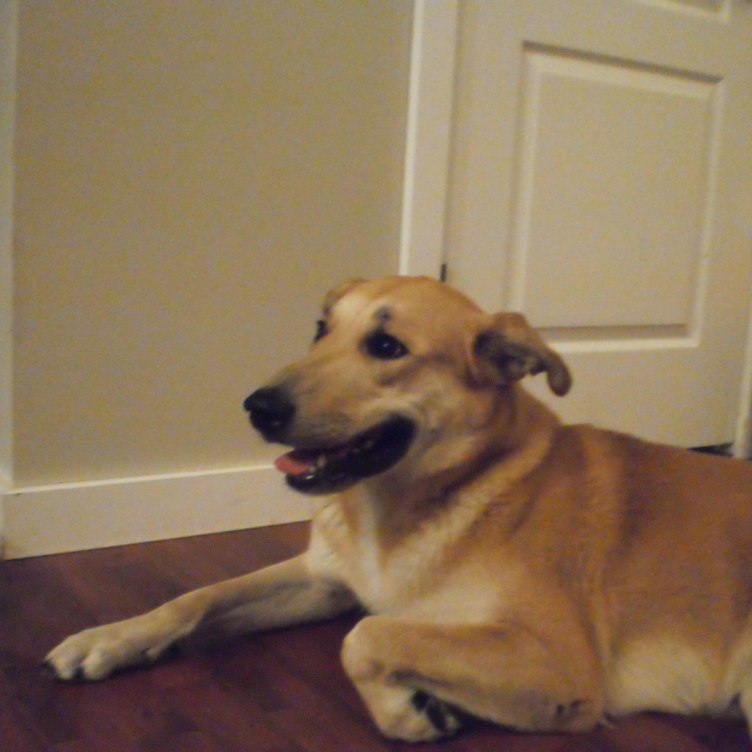 grace_letkeman's profile picture. 