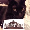 吉田材木店 (@01yoshida) Twitter