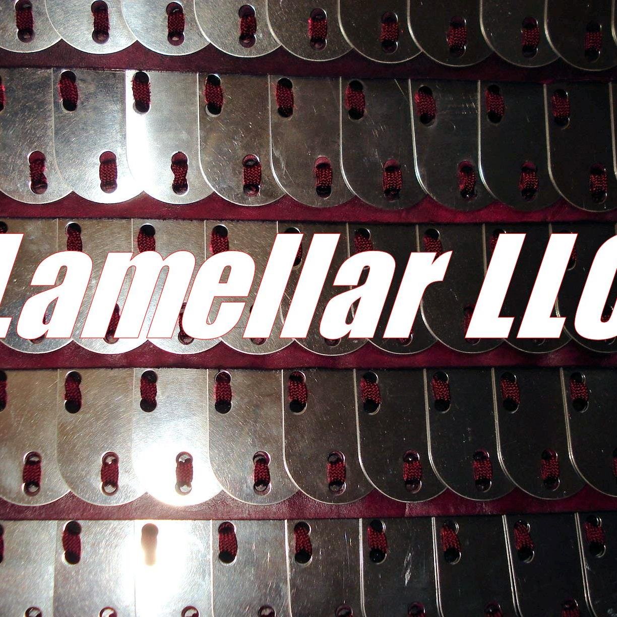 LamellarLLC's profile picture. 