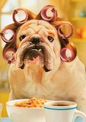 owner of Mo - Hair Salon Sandyford Newcastle Tel 0191 2220540