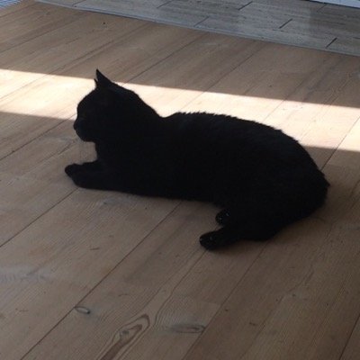 sarah_noerris's profile picture. 