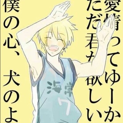 黄瀬*犬さんのプロフィール画像