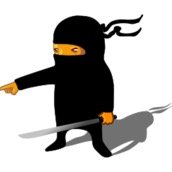 Net Ninja Profile