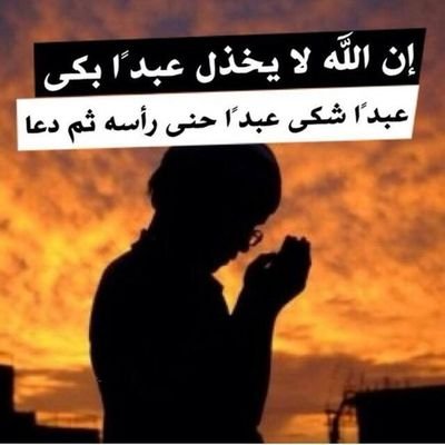 ‏‏‏‏‏زهرة البيلسان