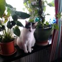 Anne Marie Rousseau - @AnneRousseau06 - Twitter