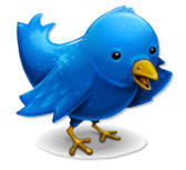 freehowtotweet's profile picture. Internet Marketer Working From Home. If You Want To Learn How To Twitter and Make Money, Stay Tuned!