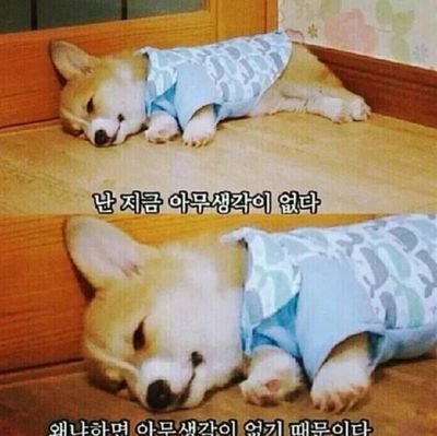 광희봇유저 싱크는 굿빠
