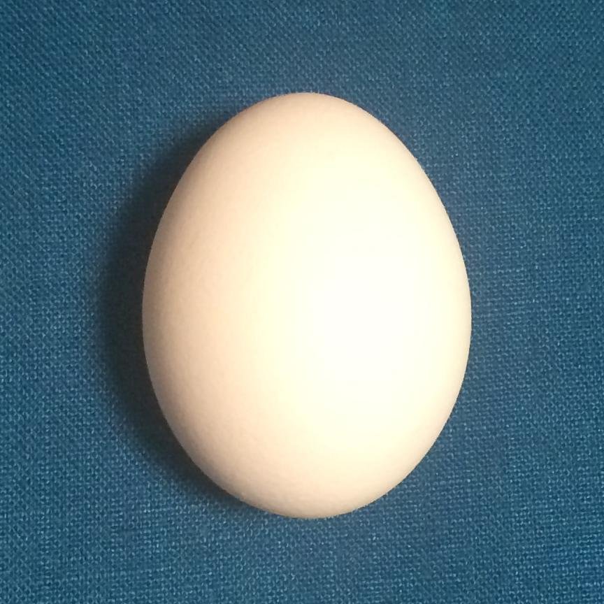 王様の馬と家来の全部がかかっても