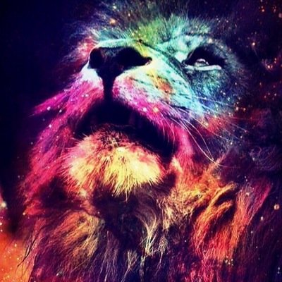 DeliKızOffical , Blogger , 17 yaşında , Geri Takip vardır.