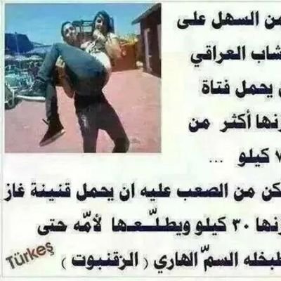 المنيا
