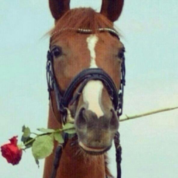 ‏‏‏‏‏‏‏‏‏‏‏‏‏‏‏‏‏‏‏‏‏‏‏ قناتي مفضله بداية^ ^         في بدايتي في تفسير الاحلام