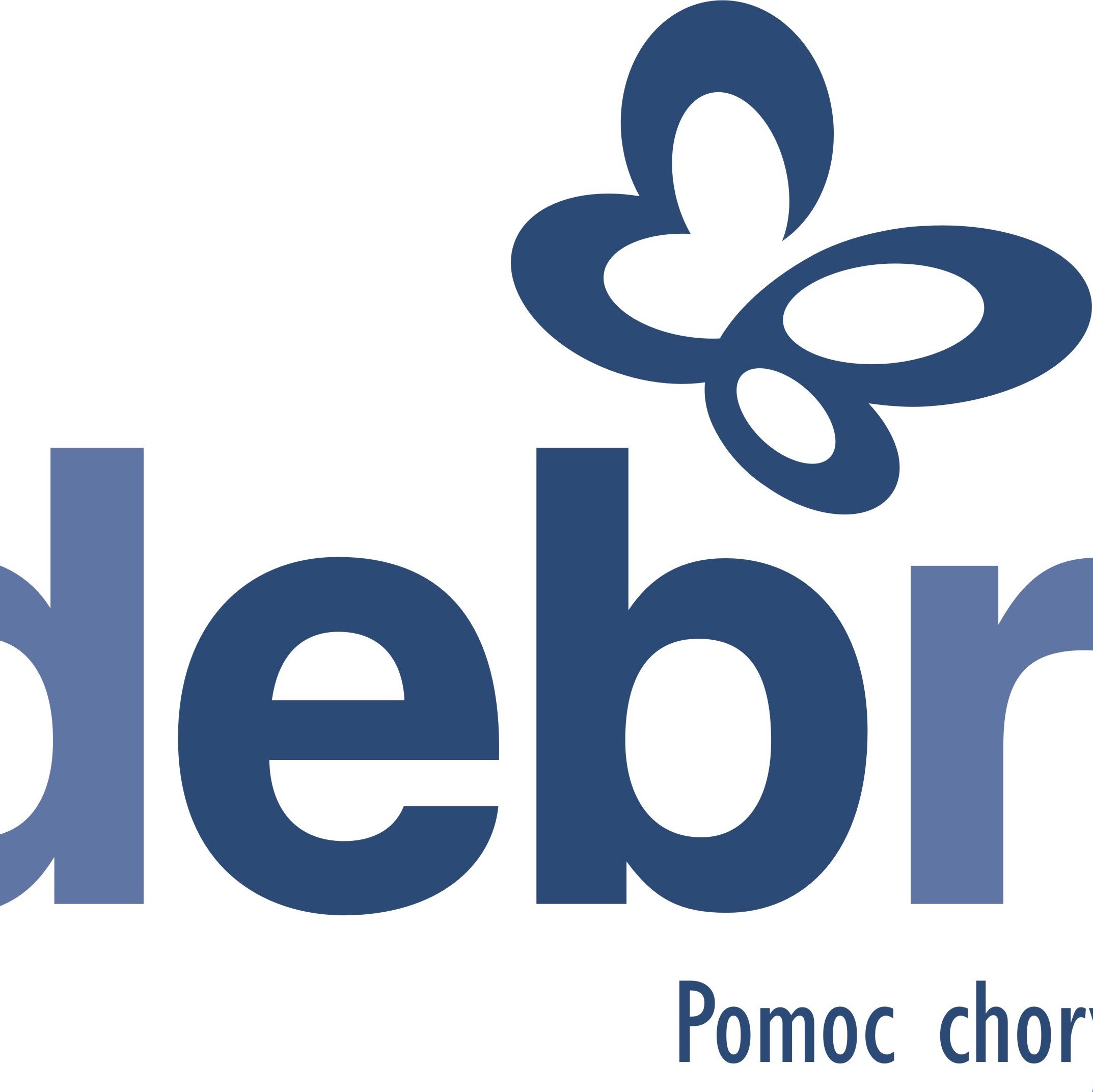 Organizacja Non-profit
