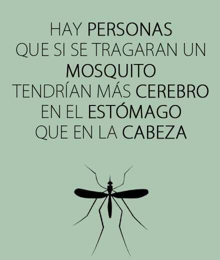 Si te hace FELIZ, aumenta la dosis