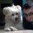Thistle_Tea's profile image