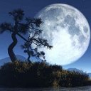 Paul Jarman - @IACGMOOH14 - Twitter